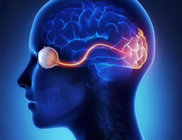 Myasthenia Gravis (MG): Understanding, Symptoms, and Ayurvedic Treatment